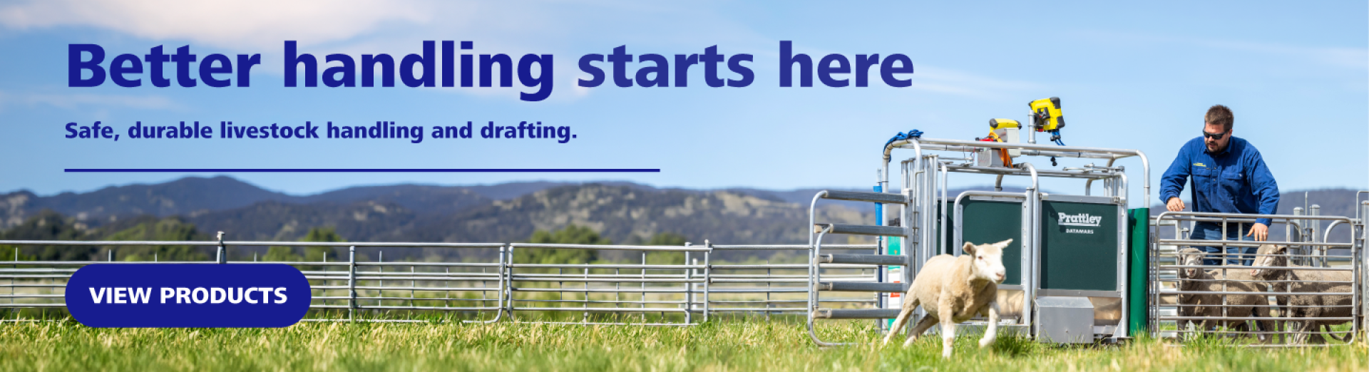 Prattley desktop banner Oct26