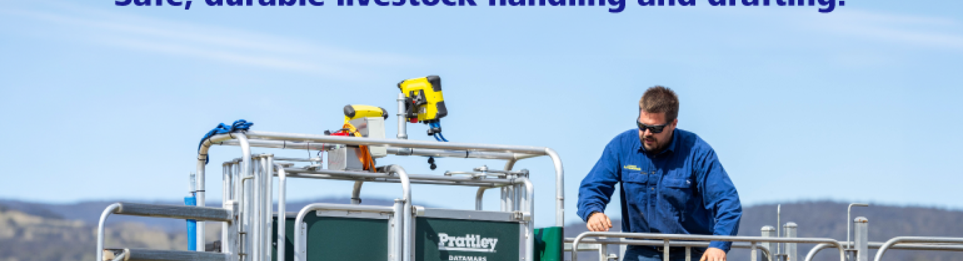 Prattley mobile banner Oct26