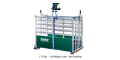 C11200 - Calf Weigh Crate (no drafting)